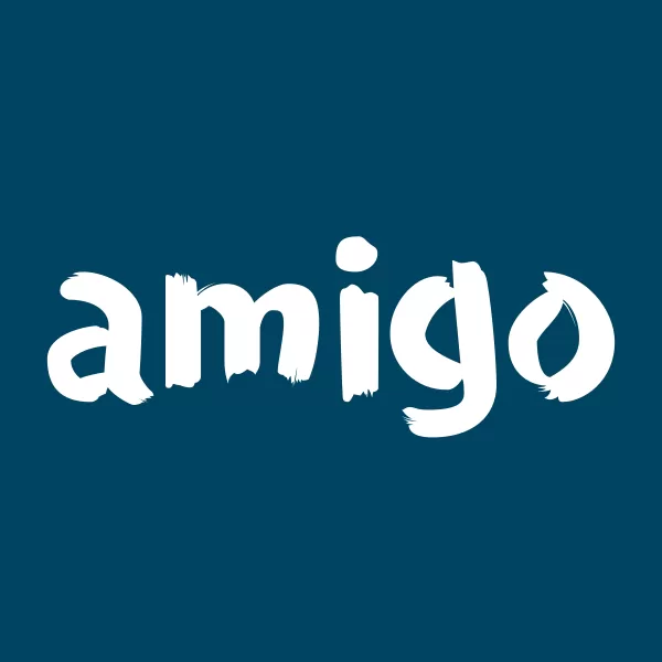 AMIGO Share Price