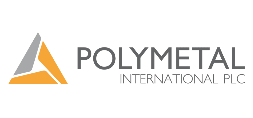 Poly Share Price
